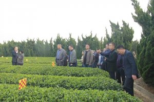 �ؑc��ǭ���^(q��)��һ��ӛ����F���L��ִ��販�@