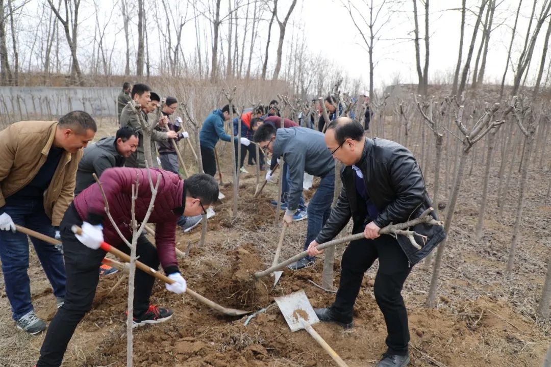 �����𼯈F(tu��n)���Gɫ�l(f��)չ ��ֲδ��(l��i)--���𼯈F(tu��n)�e���x��(w��)ֲ��(sh��)���(d��ng)