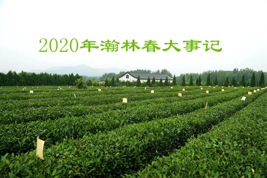 �ƵZ�^�M���^�m(x��)ǰ��|��ִ�2020�����ӛ