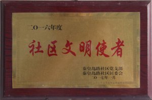 2016�����^(q��)����ʹ��