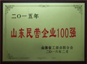 2015��ɽ�|��I��I(y��)100��(qi��ng)