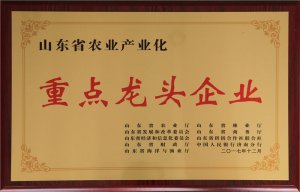 ɽ�|ʡ�r(n��ng)�I(y��)�a(ch��n)�I(y��)�����c(di��n)���^��I(y��)