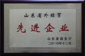 ɽ�|ʡ�⽛(j��ng)�Q(m��o)���M(j��n)��I(y��)2010.12