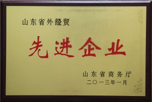 ɽ�|ʡ�⽛(j��ng)�Q(m��o)���M(j��n)��I(y��)2013.1