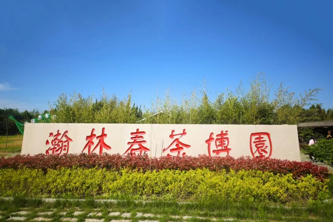 <b>��ִ��s�@2022��ȡ��l(xi��ng)�����d������(y��u)���r�I(y��)���I���w���s�u�Q̖</b>