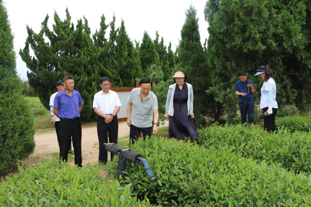 <b>�|�ۅ^(q��)���f(xi��)��ϯ�β�����ִ��販�@�{(di��o)��</b>